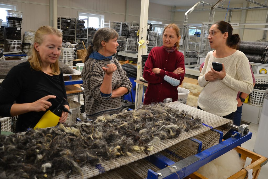 Founder, Ingvild Svorkmo Espelien explaining during the Polish WOOLUME Partners visit to Selbu Spinning Mill.