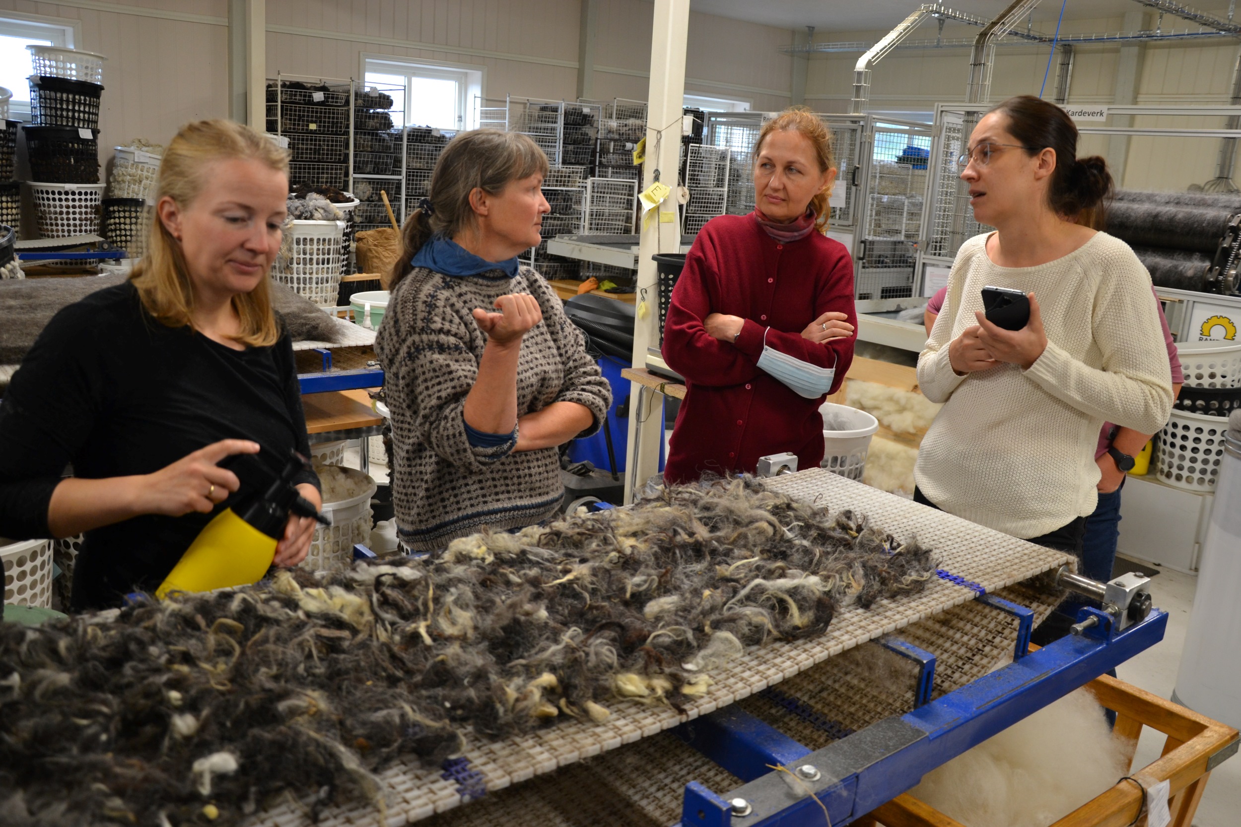 The researchers studying the Polish mountain wool.