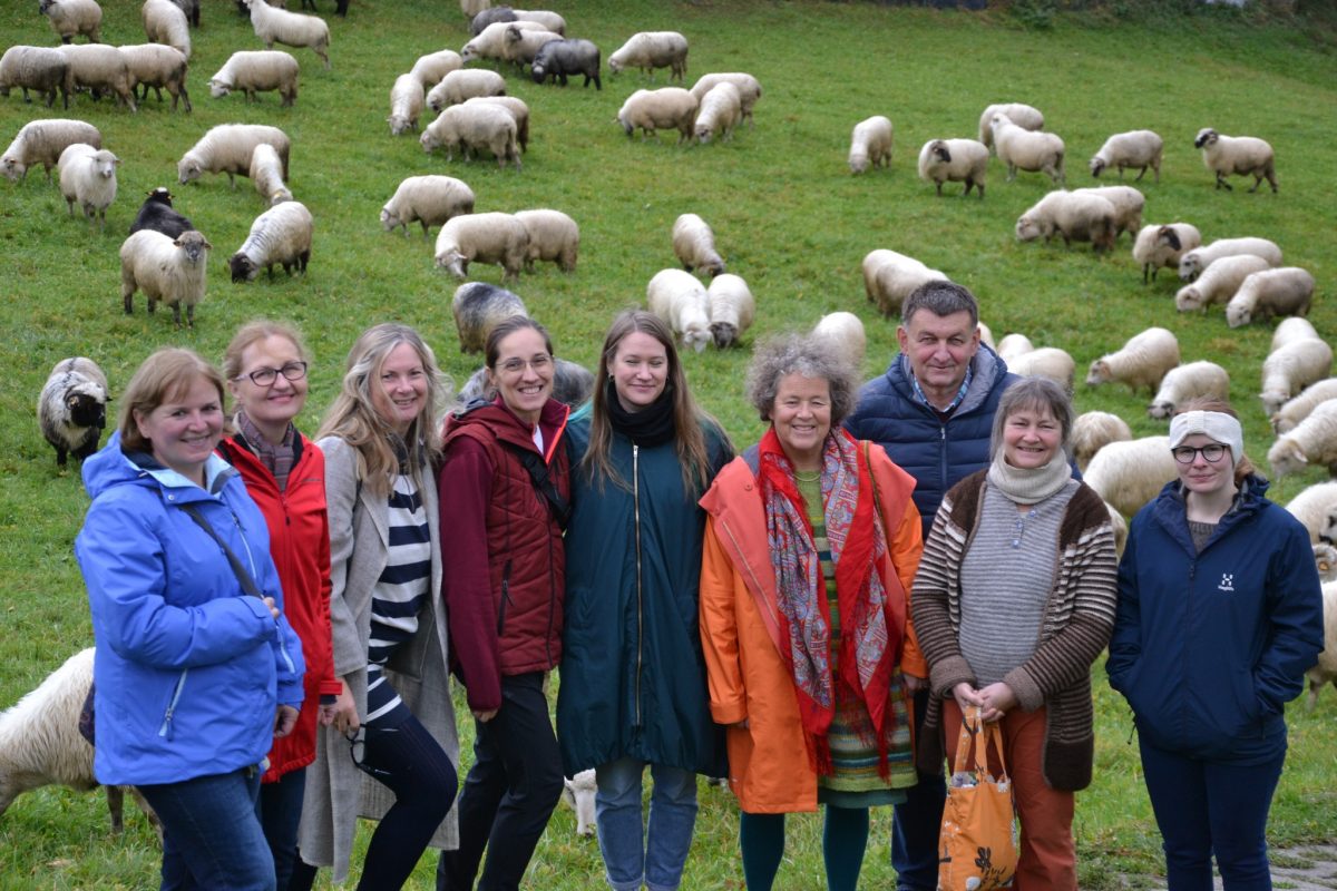 The Woolume team posing in front of the local sheep.